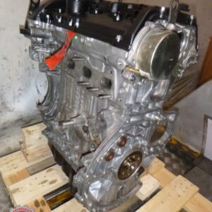 N13B16A 1.6i 75/100/125/130kw